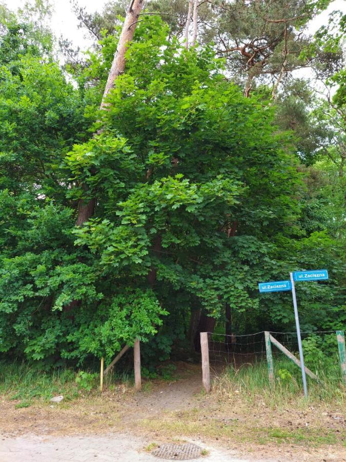 Apartament Alicja Międzywodzie Zewnętrze zdjęcie